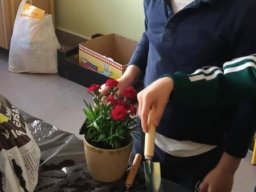 50039888511671295152149954278884386719367635n